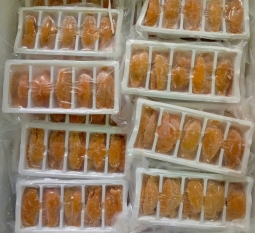 nhum-che-bien-xuat-khau-sea-urchin-tripneustes-gratilla