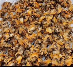 thit-so-huyet-che-bien-xuat-khau