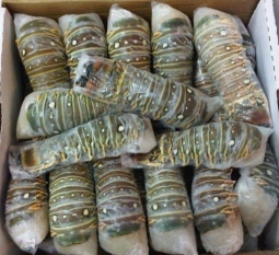 thit-tom-hum-xuat-khau